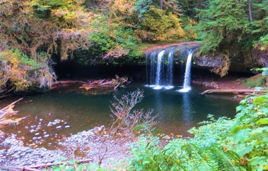 Butte Creek Falls